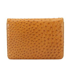 CHANEL Ostrich Chain Shoulder Bag Leather Brown Push Lock